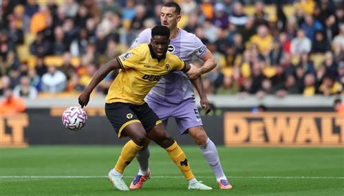 Guide to WWW Betking Mobile Betting